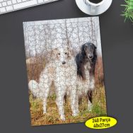 79425827 Rus Borzoy Cinsi Köpek 240 Parça Puzzle Yapboz