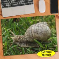 796534 Yeşil Çimenler Üstünde Salyangoz 240 Parça Puzzle Yapboz
