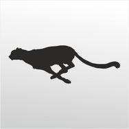 80 cm Çita Folyo Sticker