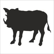 80 cm Domuz Folyo Sticker