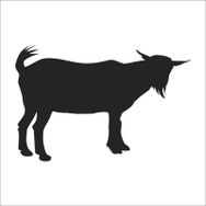 80 cm Keçi Folyo Sticker