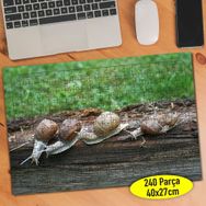 83610282 Tahta Üzerinde Salyangoz Ailesi 240 Parça Puzzle Yapboz