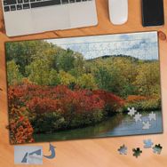 841 Tabiatın Renkli Manzarası 240 Parça Puzzle Yapboz Tablo