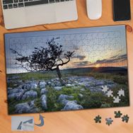 857 Taş ve Çimen Ağaç Doğa Manzara 240 Parça Puzzle Yapboz Tablo