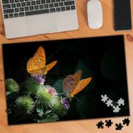 877121 Deve Dikenine Konan Kelebekler 240 Parça Puzzle Yapboz
