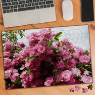 8921 Bahçe Gülleri Pembe Çiçekler 240 Parça Puzzle Yapboz