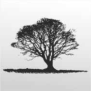 90 cm Ağaç Folyo Sticker