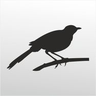90 cm Arı Kuşu Folyo Sticker