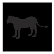 90 cm Aslan Folyo Sticker