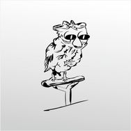 90 cm Baykuş Folyo Sticker