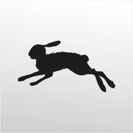 90 cm Çöl Tavşanı Folyo Sticker