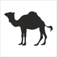 90 cm Deve Folyo Sticker