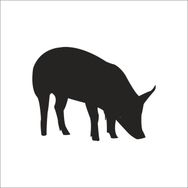 90 cm Domuz Folyo Sticker