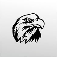 90 cm Kartal Folyo Sticker