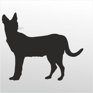 90 cm Kedi Folyo Sticker