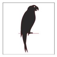 90 cm Papağan Folyo Sticker
