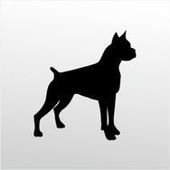 90 cm Pitbull Folyo Sticker