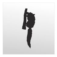90 cm Rakun Folyo Sticker