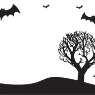 90 cm Yarasa Folyo Sticker