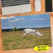 90982032 Rus Borzoy Cinsi Köpek 240 Parça Puzzle Yapboz