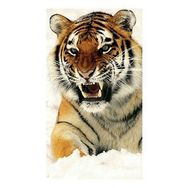 90x110 cm Kardaki Kaplan Sayılarla Boyama Seti Rulo Duvar Sticker