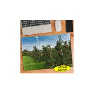 91610504 Meyve Bahçesi Elma Ağacı 240 Parça Puzzle Yapboz