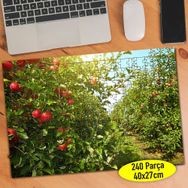 91722412 Meyve Bahçesi Elma Ağacı 240 Parça Puzzle Yapboz