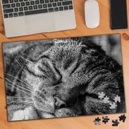 936507 Siyah Beyaz Sevimli Kedicik 240 Parça Puzzle Yapboz