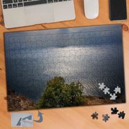 945 Yukardan Ağaç Ve Deniz 240 Parça Puzzle Yapboz Tablo