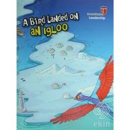 A Bird Landed on an Igloo - Leadership Neriman Karatekin