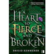 A Heart So Fierce and Broken Kitap