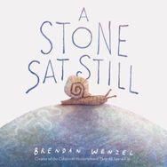 A Stone Sat Still - Brendan Wenzel
