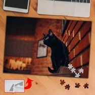 A01544 Evde Kara Kedi Hayvan 240 Parça Puzzle Yapboz Tablo