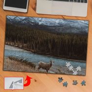 A01845 Çalılar Ve Kumlu Yolda Keçi 240 Parça Puzzle Yapboz Tablo