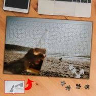 A2726 Kumsal İçeçek Köpek Tatil 240 Parça Puzzle Yapboz Tablo