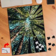 A304 Yosemite Ulusal Park Ağaçlar 240 Parça Puzzle Yapboz Tablo