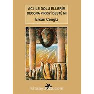 ACI İLE DOLU ELLERIM - ERCAN CENGIZ