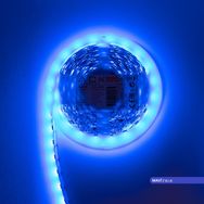 ACK AS01-00306 12 V 14.4 W 5 m Üç Çip 60 Ledli Mavi Işık Şerit Led