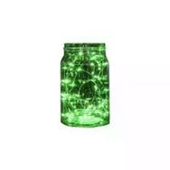 ACK AS90-00405 10 mt 220V Yeşil 100 Ledli Ampullü Eklenebilir İç Mekan Led Işık