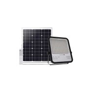 ACK AT65-19632 250W IP65 6500K Beyaz Lensli Solar Projektör