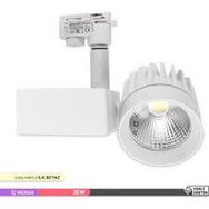 ACK Cob Led 4000 K 30 W Beyaz Kasa Ilık Beyaz Monofaze Ray Armatürü