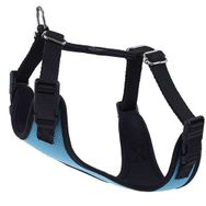 Actirex Neon Cool Mavi 40x45 cm Köpek Göğüs Tasması