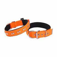 Actirex Neon Kemik Desenli Turuncu 2.5x42-50 cm Köpek Boyun Tasması