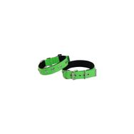Actirex Neon Kemik Desenli Yeşil 3x42-50 cm Köpek Boyun Tasması