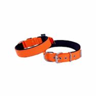 Actirex Orange Medium 45 cm Neon Yumuşak Doku Köpek Boyun Tasma