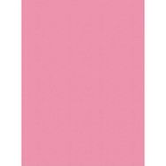Adel 50x70 Pembe Fon Kartonu
