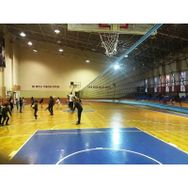 Adelinspor Premium 28 m Voleybol Filesi