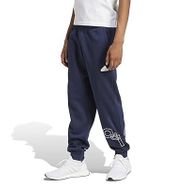 Adidas BL FL PNT Q1 GD Mavi Erkek Eşofman Altı
