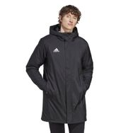 Adidas ENT22 Stadjkt Black Erkek Mont
