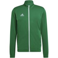 Adidas HI2135 Haki Tk Jkt Erkek Futbol Antrenman Ceketi